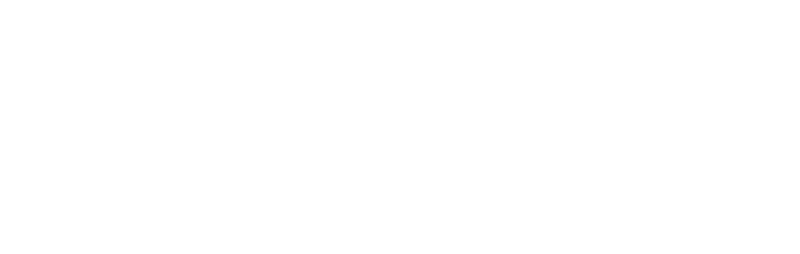 The Employers Institute